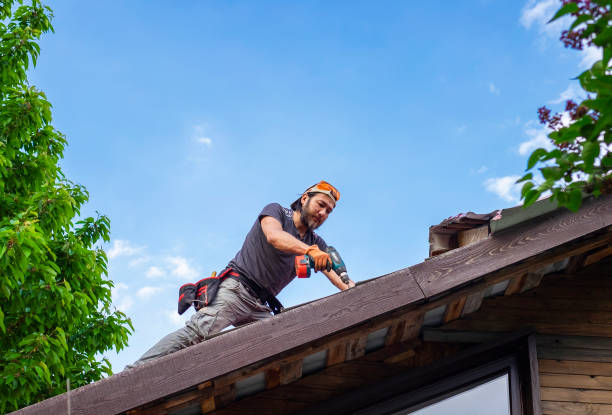 Fast & Reliable Emergency Roof Repairs in Myrtle Grove, NC